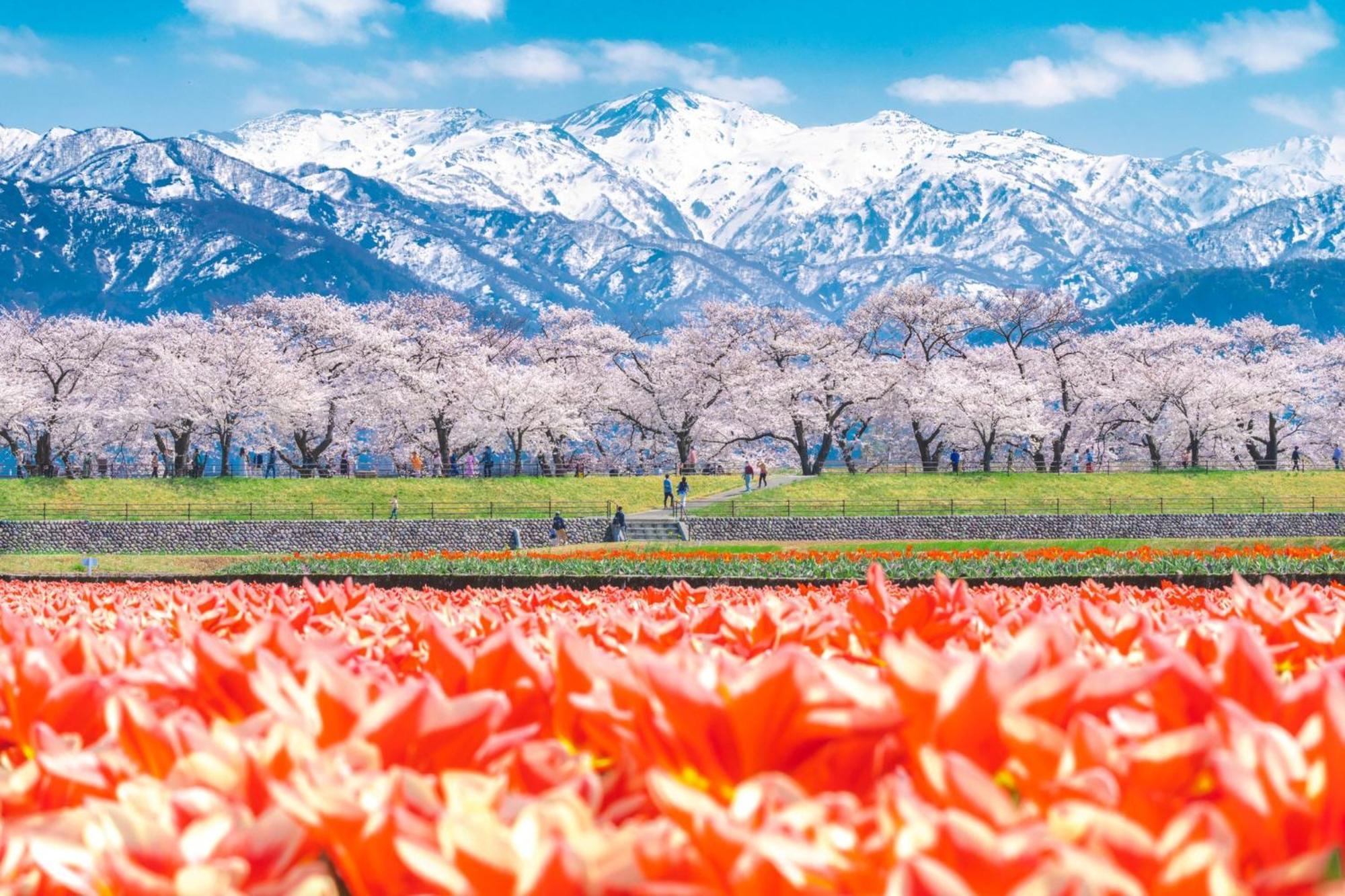 Ana Crowne Plaza Toyama By Ihg Hotell Exteriör bild